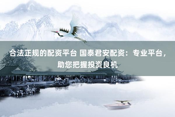 合法正规的配资平台 国泰君安配资：专业平台，助您把握投资良机