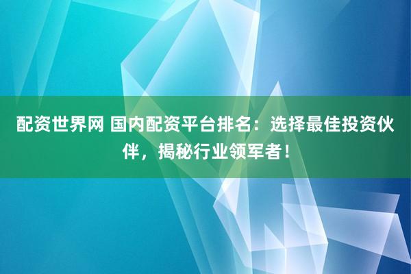 配资世界网 国内配资平台排名：选择最佳投资伙伴，揭秘行业领军者！