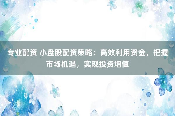 专业配资 小盘股配资策略：高效利用资金，把握市场机遇，实现投资增值