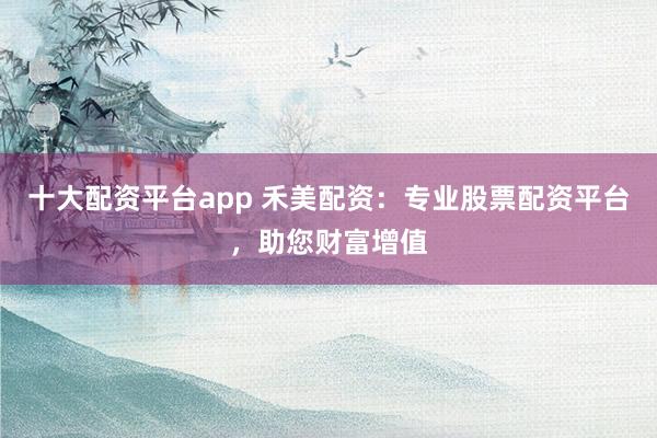 十大配资平台app 禾美配资：专业股票配资平台，助您财富增值