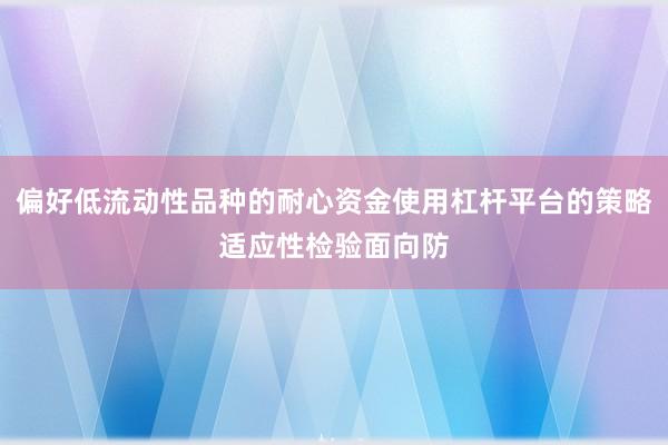偏好低流动性品种的耐心资金使用杠杆平台的策略适应性检验面向防