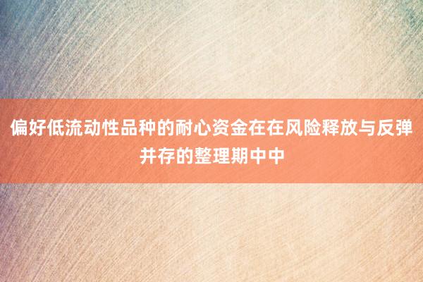 偏好低流动性品种的耐心资金在在风险释放与反弹并存的整理期中中