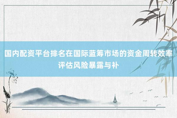 国内配资平台排名在国际蓝筹市场的资金周转效率评估风险暴露与补