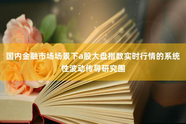 国内金融市场场景下a股大盘指数实时行情的系统性波动传导研究围