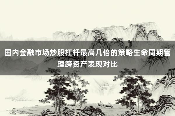 国内金融市场炒股杠杆最高几倍的策略生命周期管理跨资产表现对比