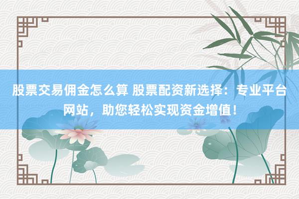 股票交易佣金怎么算 股票配资新选择：专业平台网站，助您轻松实现资金增值！
