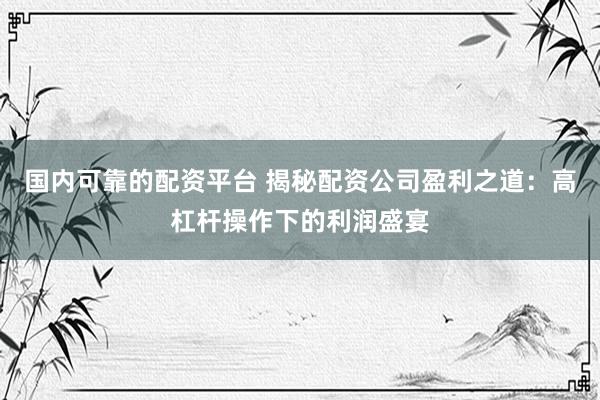 国内可靠的配资平台 揭秘配资公司盈利之道：高杠杆操作下的利润盛宴