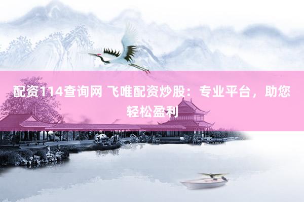 配资114查询网 飞唯配资炒股：专业平台，助您轻松盈利